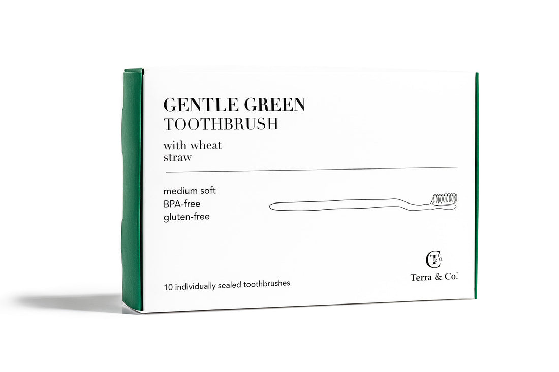 Gentle Green Wheat Straw Toothbrush Family Pack BPA Free Travel Friendly