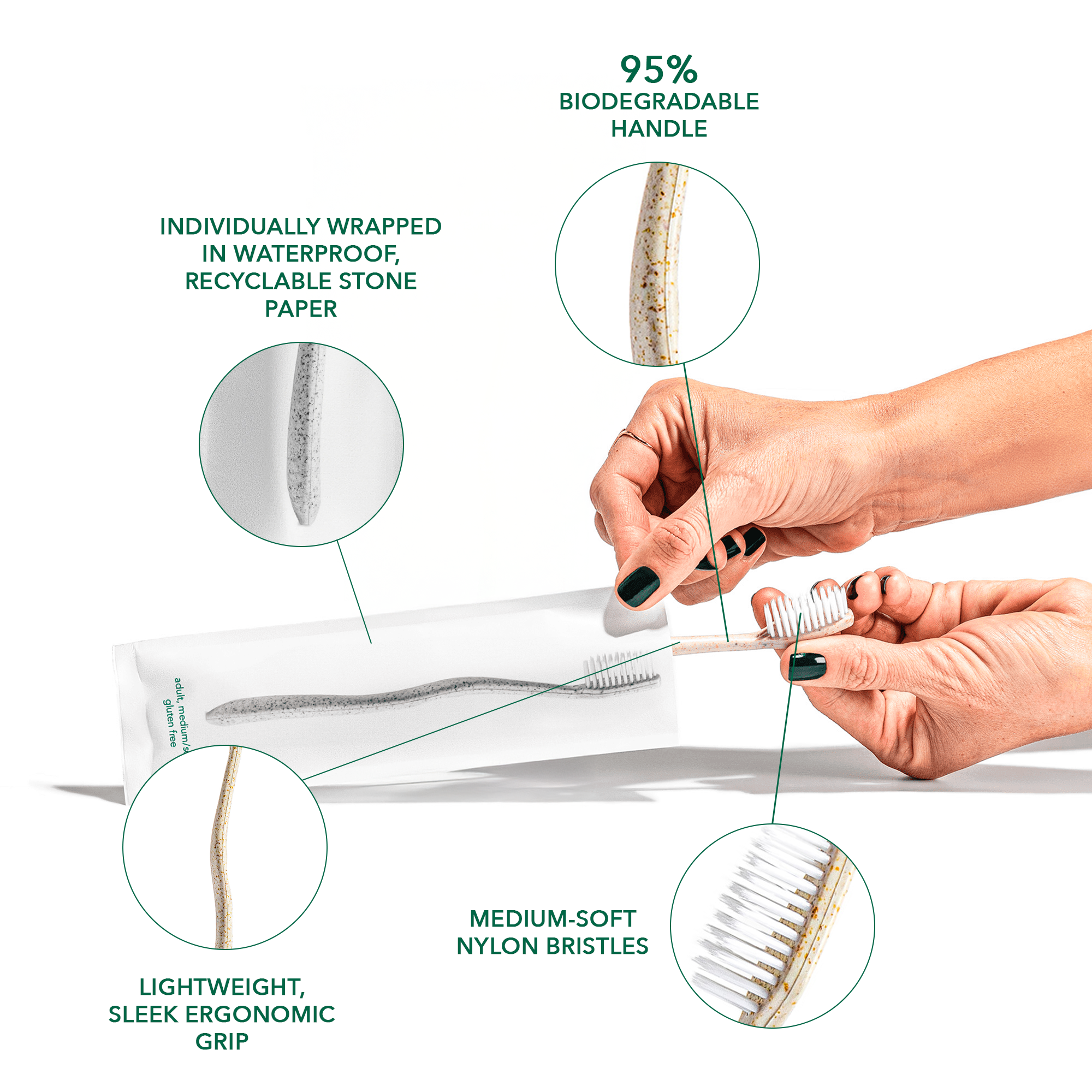 Gentle Green Wheat Straw Toothbrush Family Pack BPA Free Travel Friendly